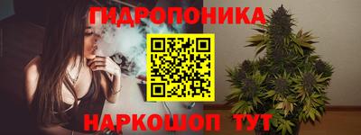 шишки Свободный